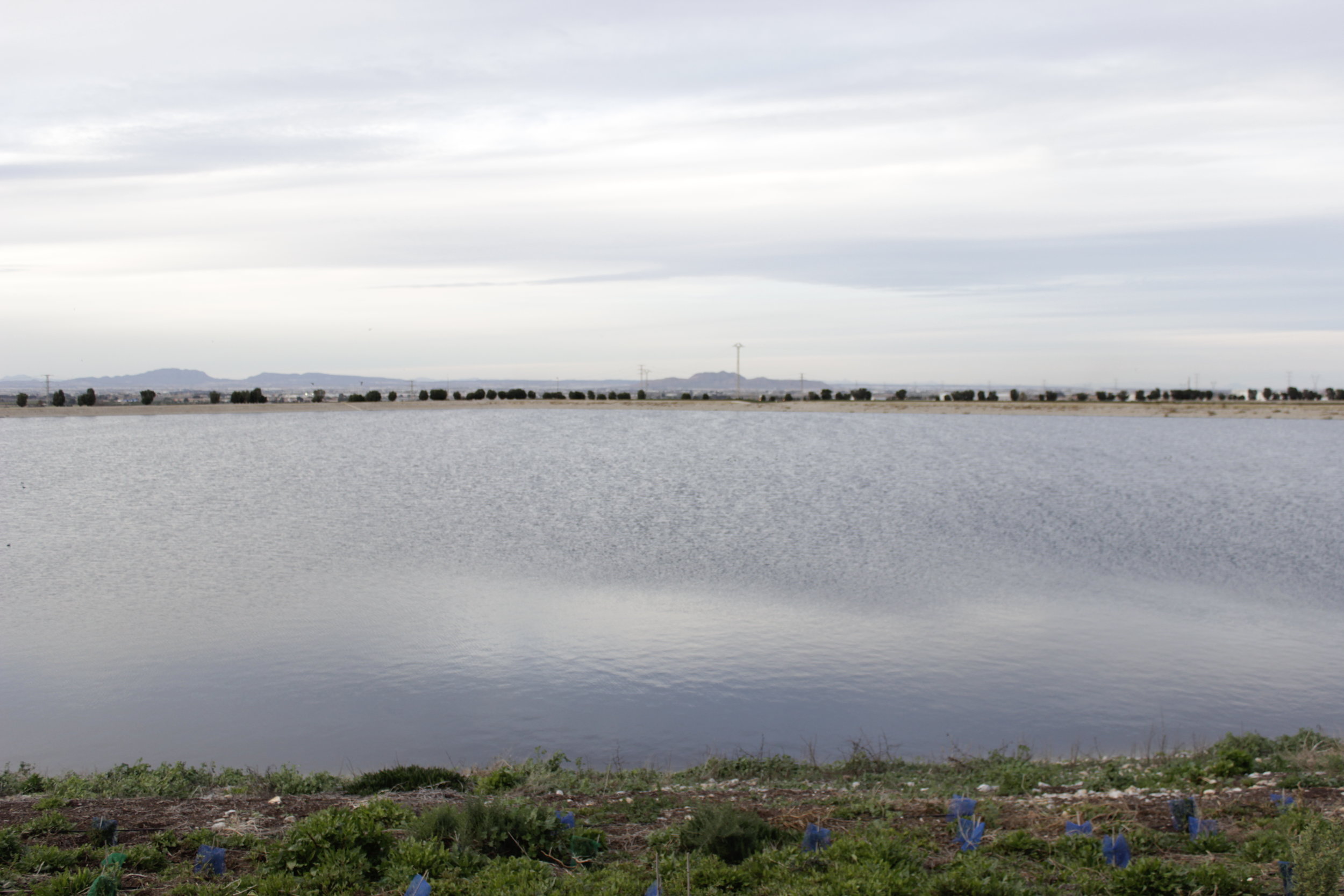 07/03/2018 Visita EDAR Borja Domínguez 