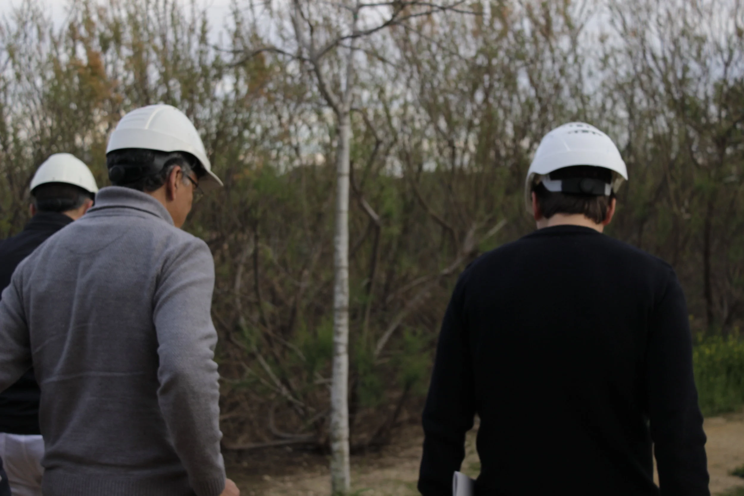 07/03/2018 Visita EDAR Borja Domínguez 