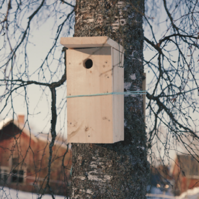 Fuglekasse - grovklipp.png