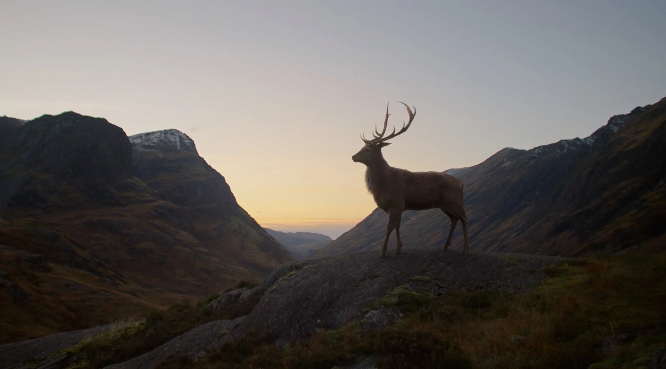 Glenfiddich_PhilippeAndre.jpg