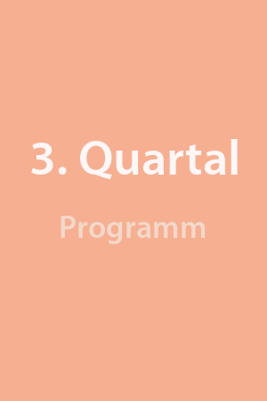 Quartal3_Prog.png