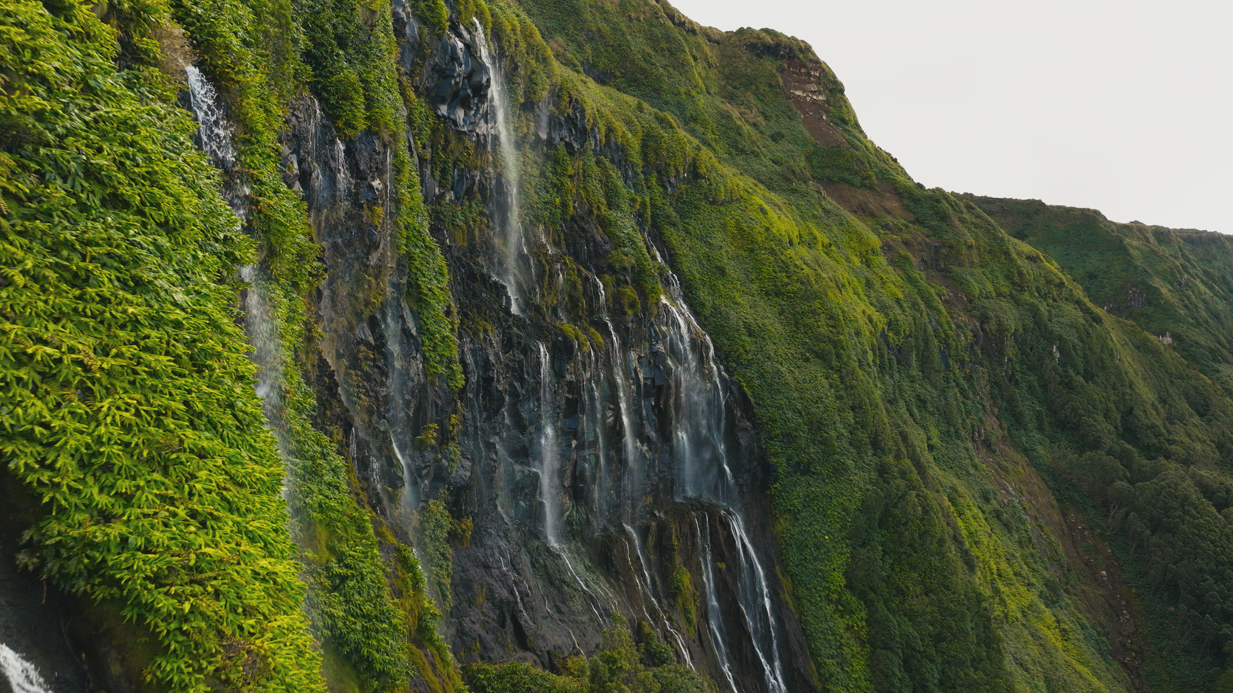 HEADER BAKRUNDS VIDEO00090000.png