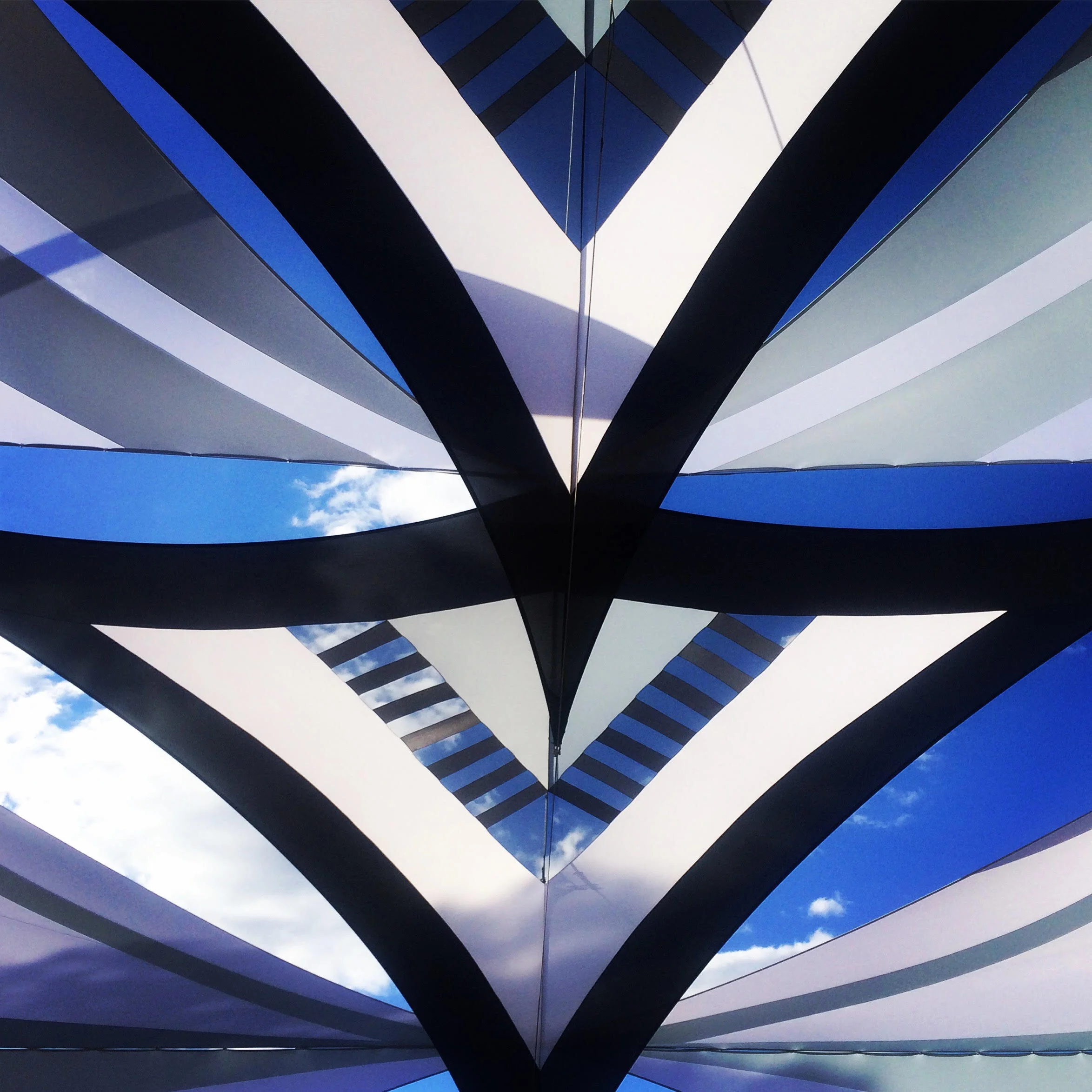 Babylon Manta rays.jpg