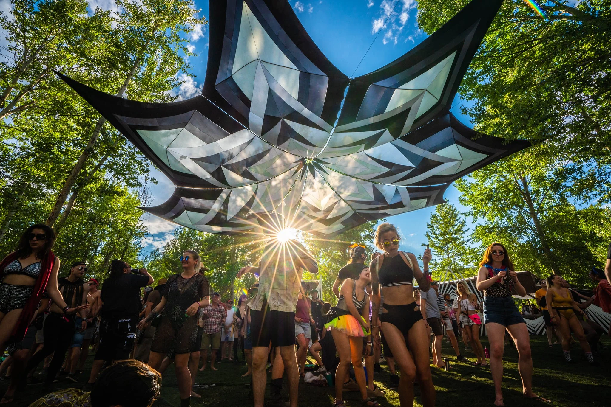 Kwalia Design Canopy - Bass Coast .jpeg