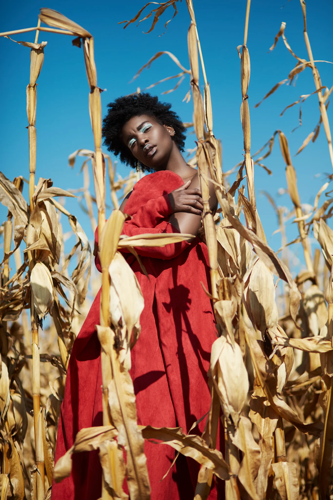 SIMZ0437.jpg