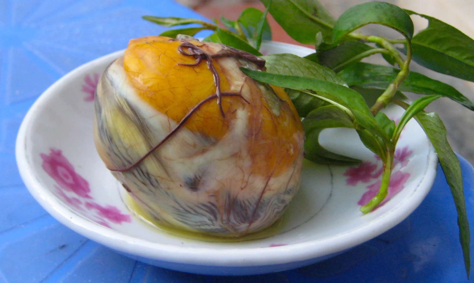 Trung vit lon. Photo: Aterux via Wikimedia Commons