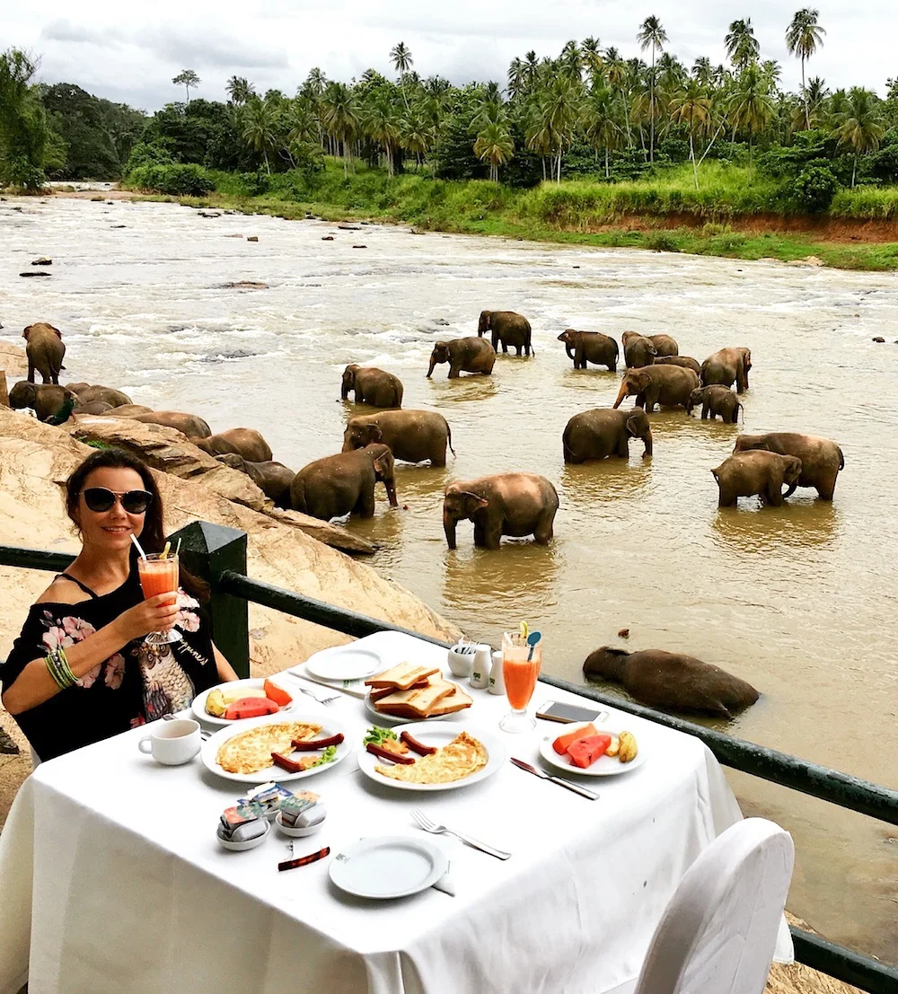 Café da manhã com elefantes no Sri Lanka. Foto: David Mattatia