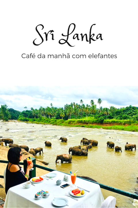 Café da manhã com elefantes no Sri Lanka: Foto David Mattatia