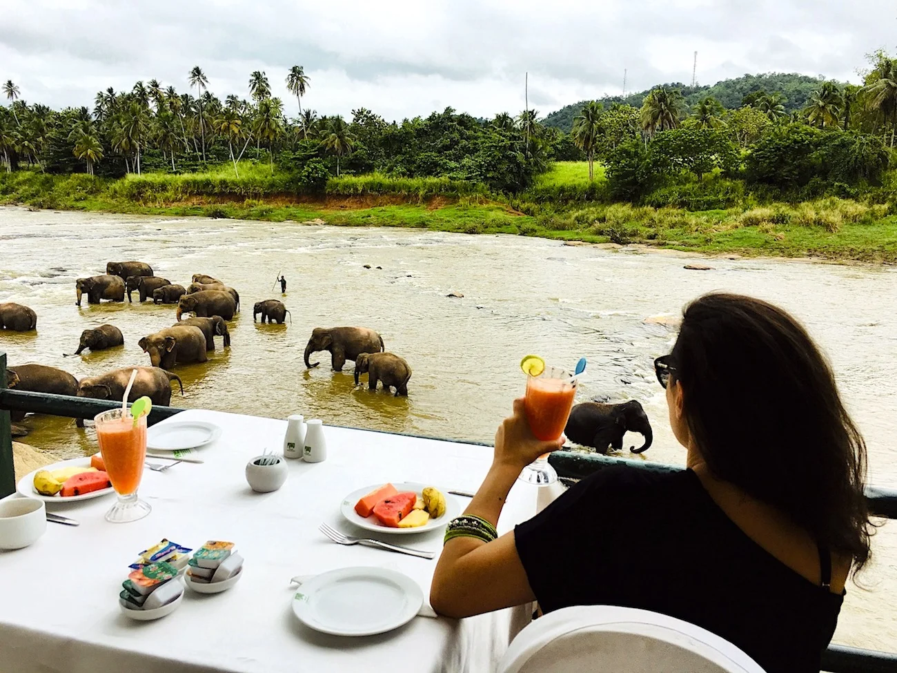 O que fazer no Sri Lanka? Que tal um café com elefantes? Foto: David Mattatia