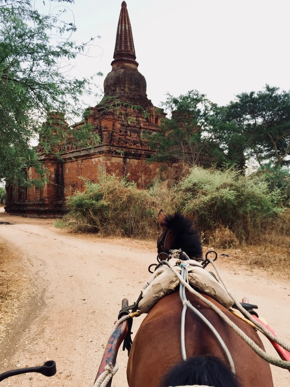 Bagan, Myanmar. Foto: Patti Neves