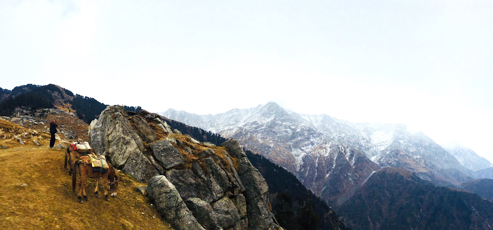 Triund trek. Photo: Patti Neves