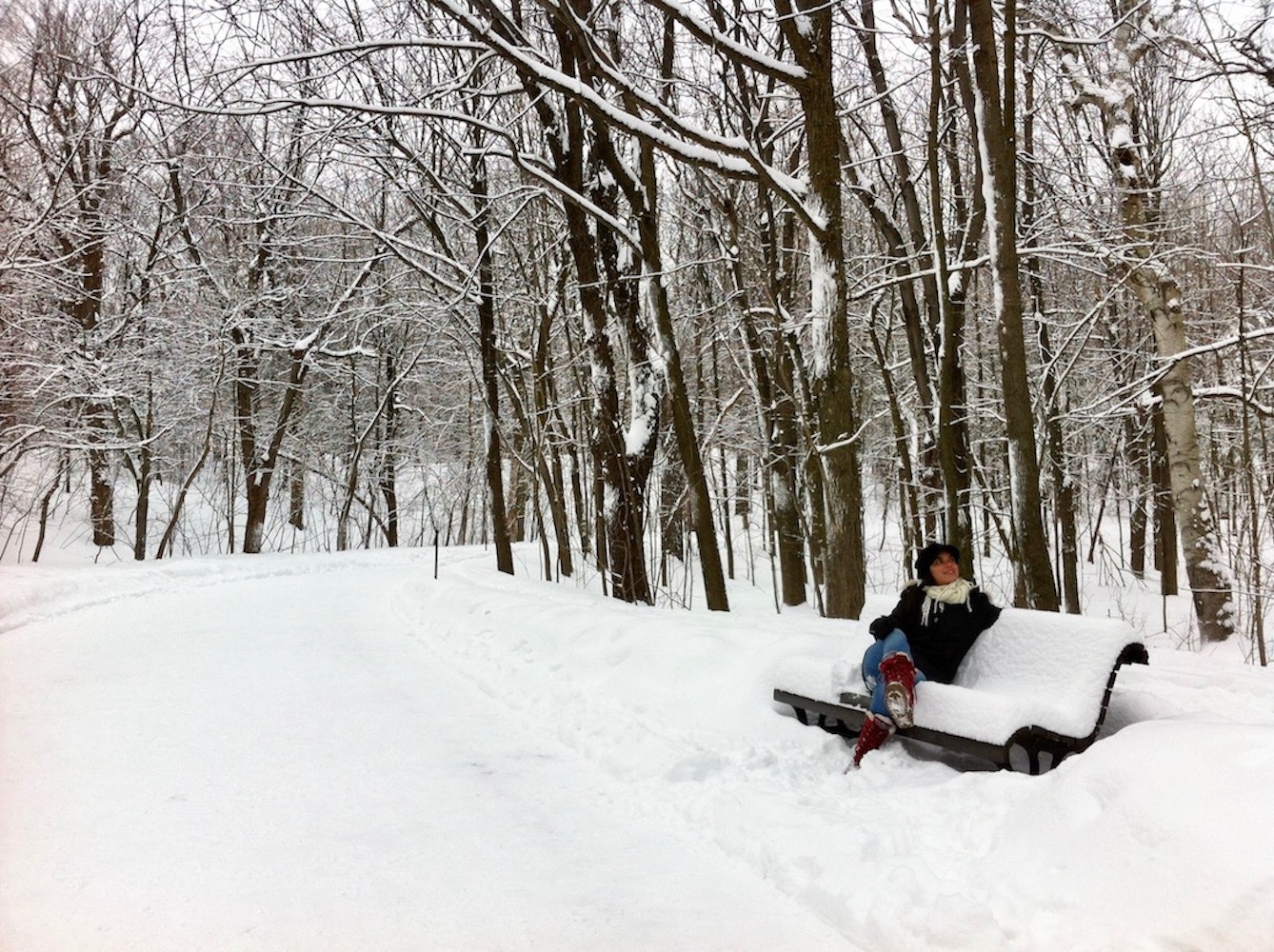 Parc Mont Royal (Montreal). Foto: David Mattatia
