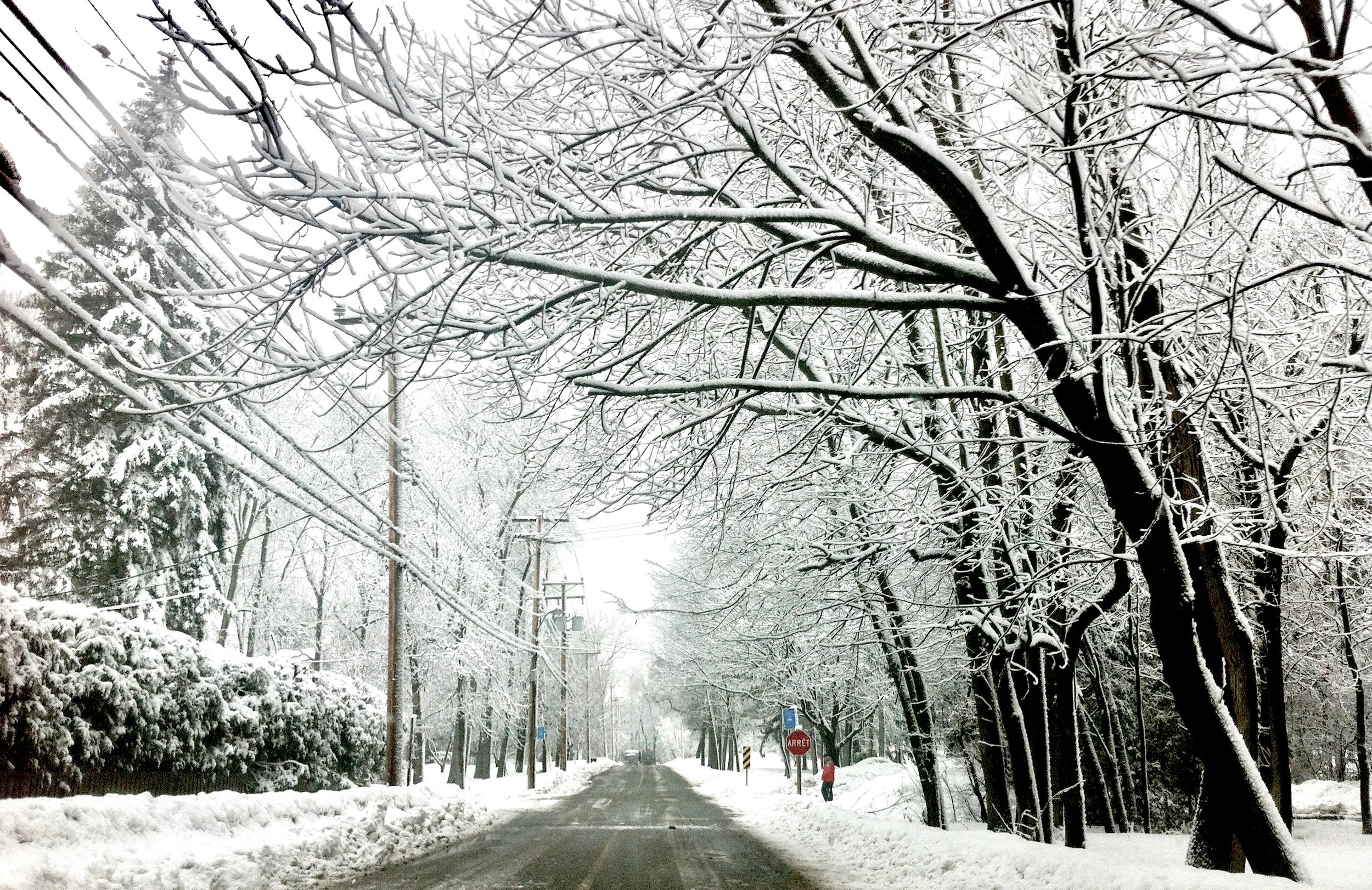 Montreal no Inverno: Tudo o Que Você Precisa Saber! #biker #shorts