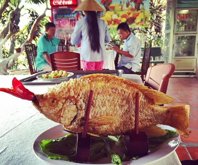 There are plenty of fish in the sea, but this one came from Mekong Delta, Southern Vietnam. A vast maze of rivers, swamps and islands, home to floating markets, Khmer pagodas and villages 🇻🇳
.
.
.
Um olho no peixe outro no gato? 😬
Quem acha “meio diferente” o jeito que os vietnamitas preparam peixe?
Esse veio do Mekong, um labirinto de rios, pântanos, mercados flutuantes e vilas.
.
.
.
#crazyfish #deltamekong #mekongriver #vietnam #travelblogger #friedfish #mochileirosgrupofechado #traveldeep #fishy #fishing #meucliqueestadao 
#amazingdestinations #beautifuldestinations
#amazingplaces #aroundtheworldtrip
#meucliqueestadao #theglobevacationer
#dreamdestination #brasileiraspelomundo