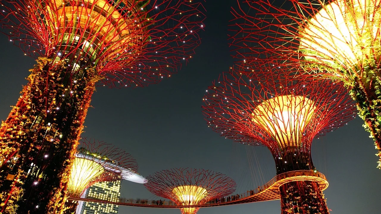 Supertrees, no Gardens by the Bay