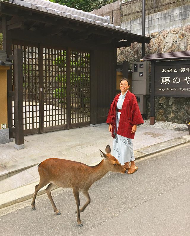 Que tal acordar e encontrar seu Bambi preferido na porta do Ryokan?
.
Miyagima é assim! Uma cidade saída de um conto de fadas 🦌✨
.
Em cidades onde existe a prática de onsen (banhos em águas termais), os ryokans (hotéis tradicionais japoneses) também fornecem o yukata, esse tipo de kimono mais simples, de verão, para os hóspedes usarem pela cidade.
Uma experiência que recomendo 100%!
.
.
#onsens #onsenhotpools #onsenryokan #ryokan #japan #myiagyma #japão #spatime #deerlovers #deer #japanesestyle #japan #yukata #kimono #revistaqualviagem #viagemtop #viajarepreciso #viajarfazbem #amazingplaces #aroundtheworld #morarfora #morarforadobrasil #sourbbv #blogdeviagem #brasileirasnoexterior