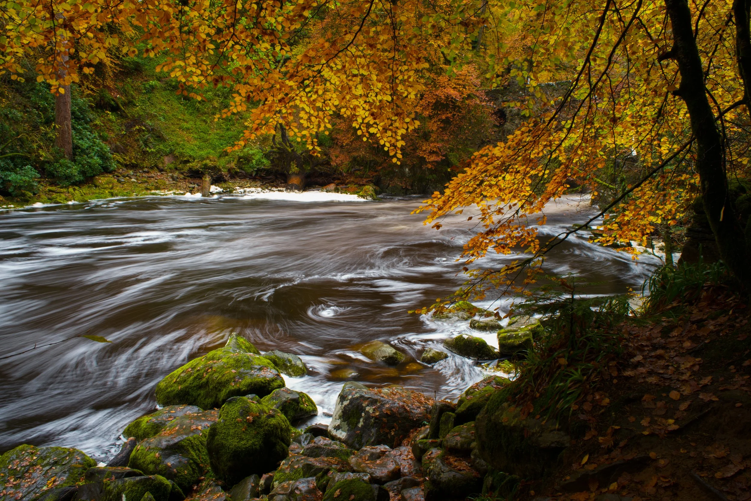 5 Favourite Things About Autumn