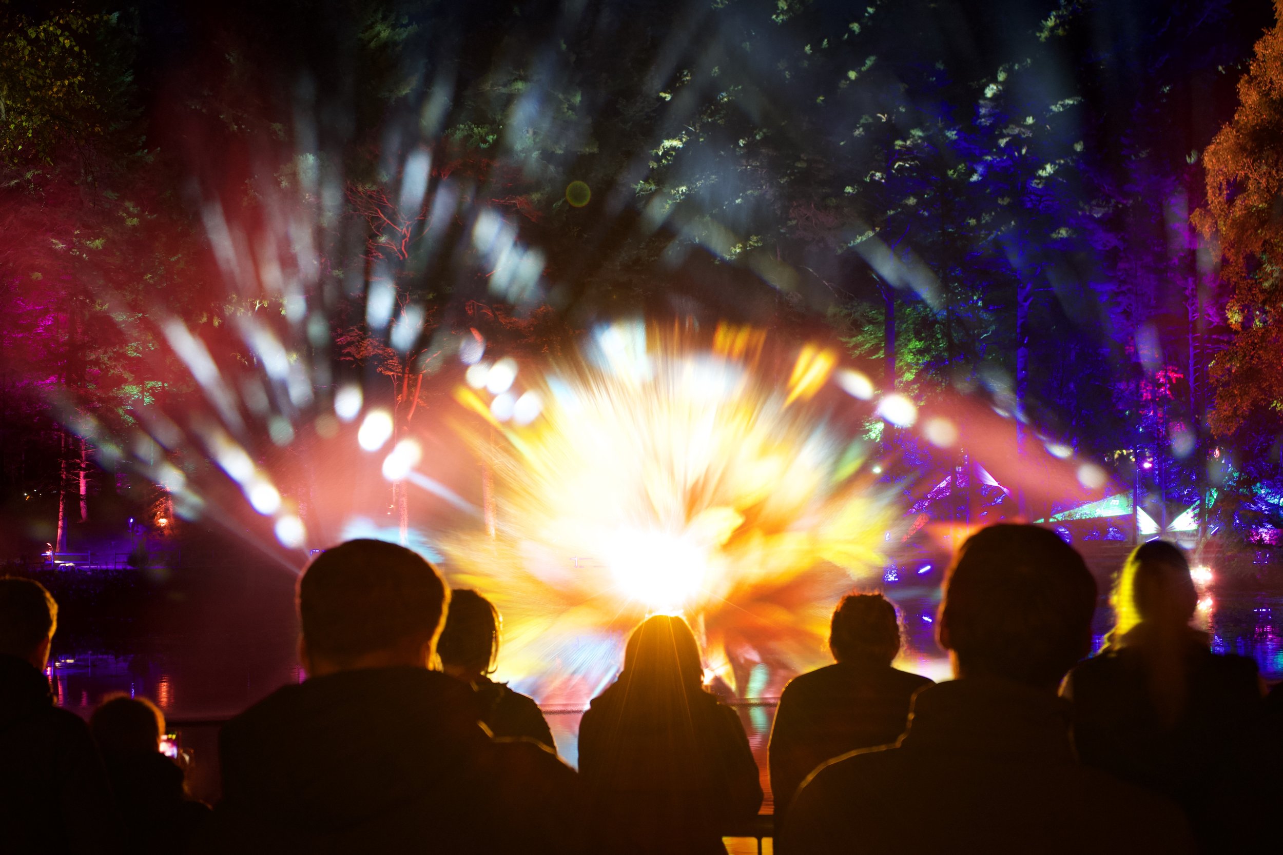 The Enchanted Forest in 2024