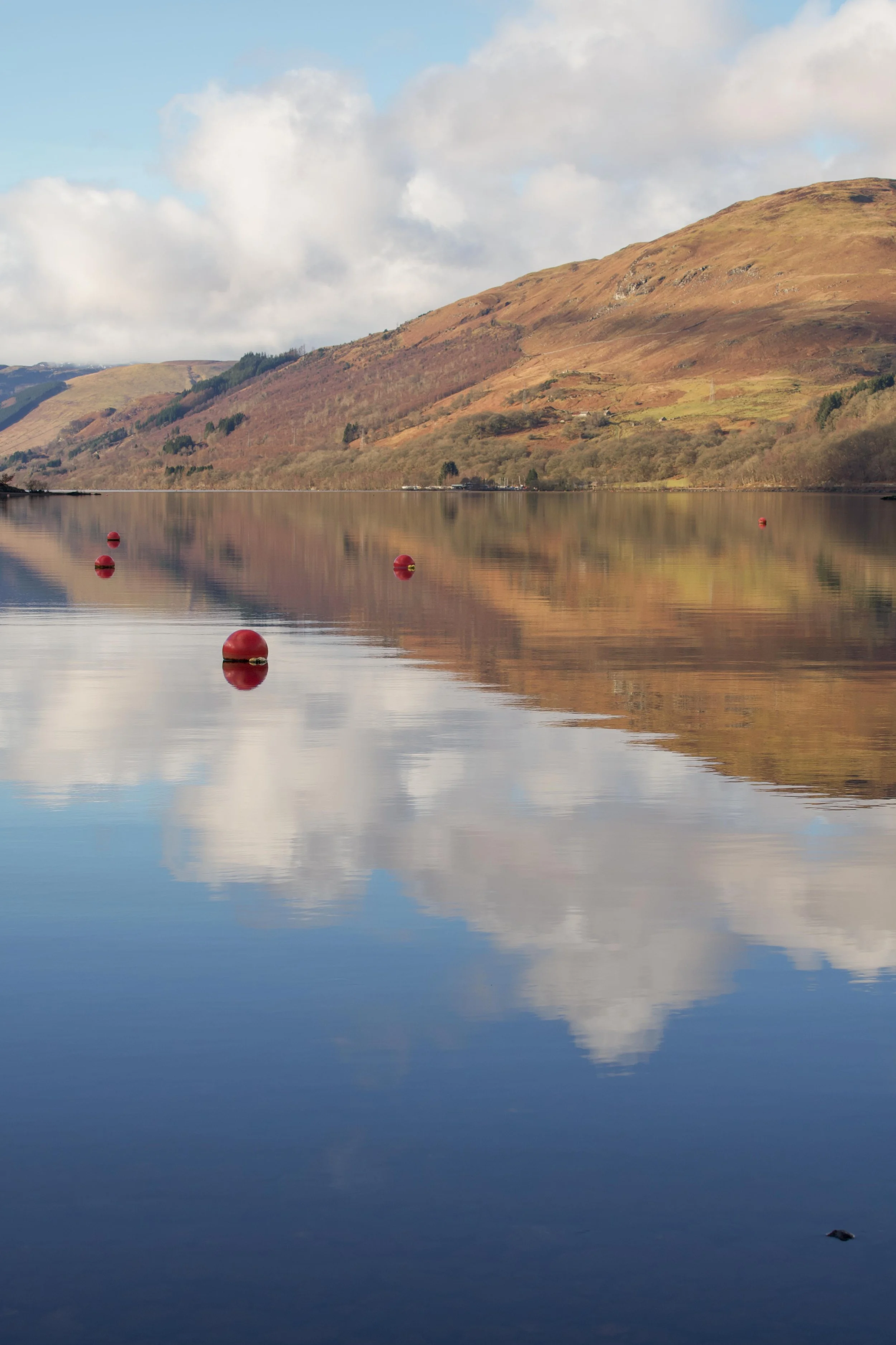 Spring Views at Loch Earn 