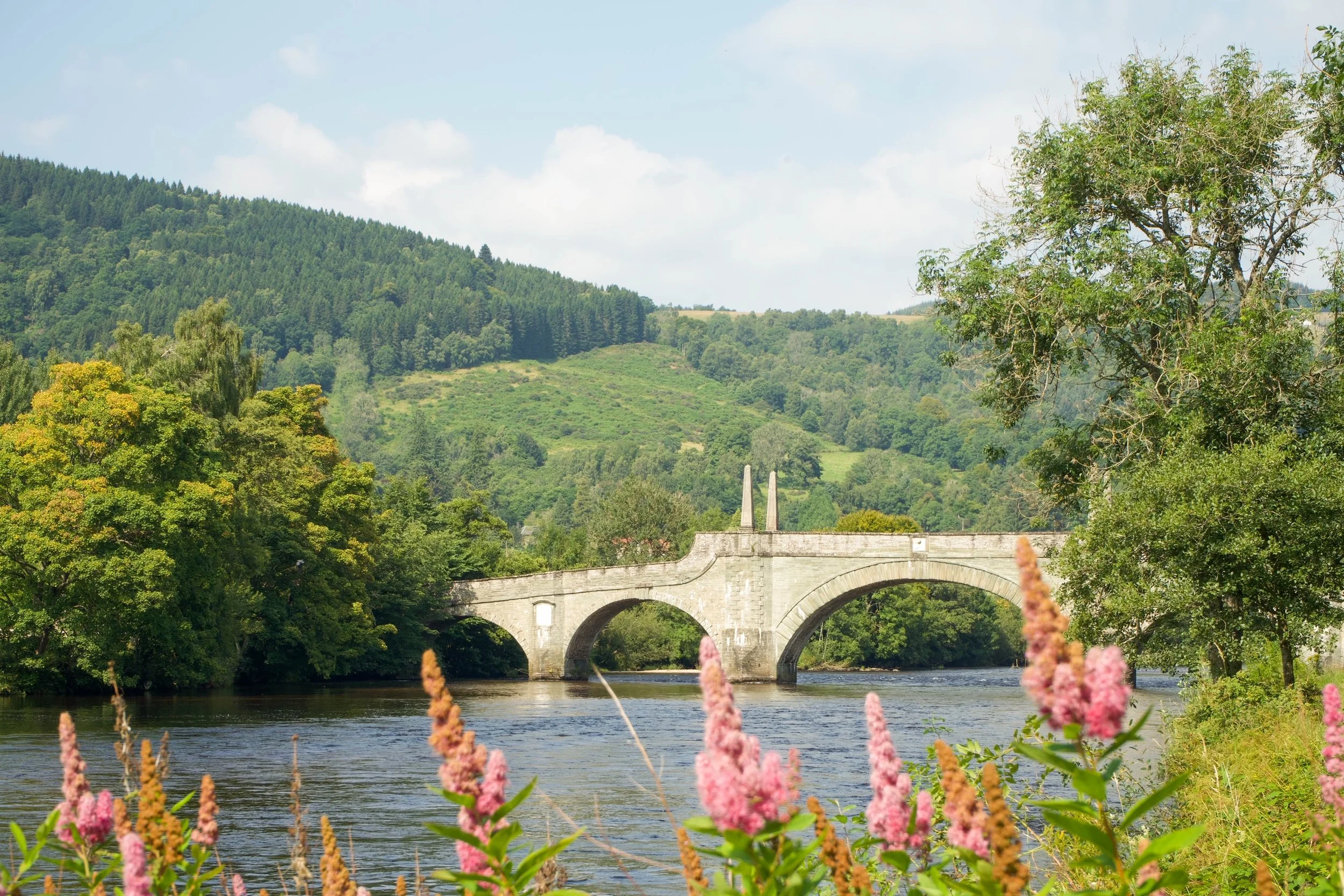 4 Favourite Summer Walks