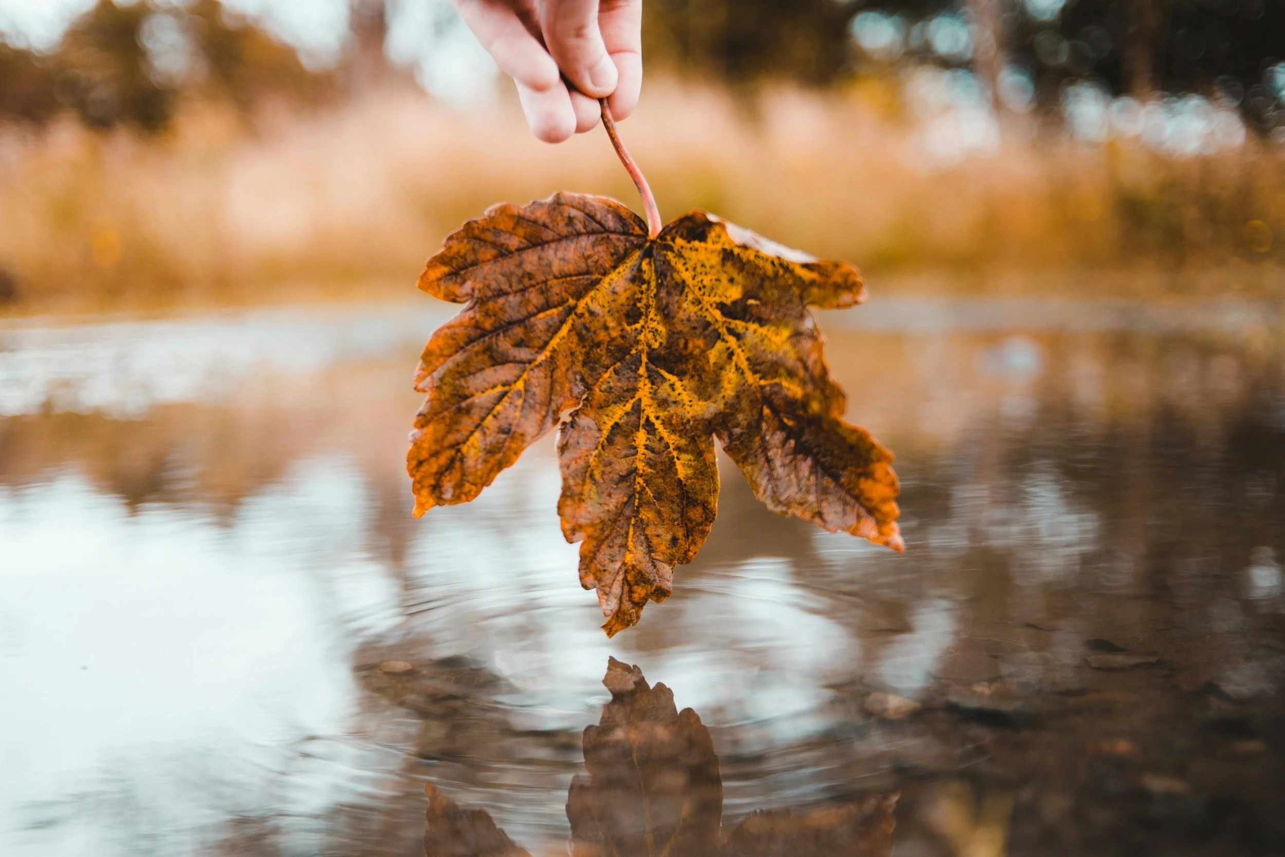 AD | Planning Ahead with GrowBiz