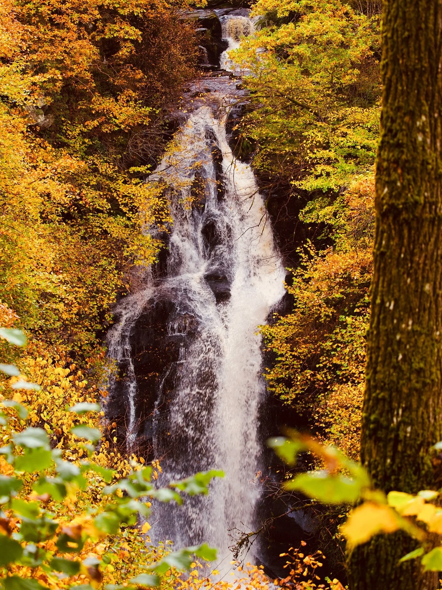 Despite being warned repeatedly against it, we&rsquo;ve been chasing waterfalls again.

#perthshire #theperthshiremagazine #scotland
