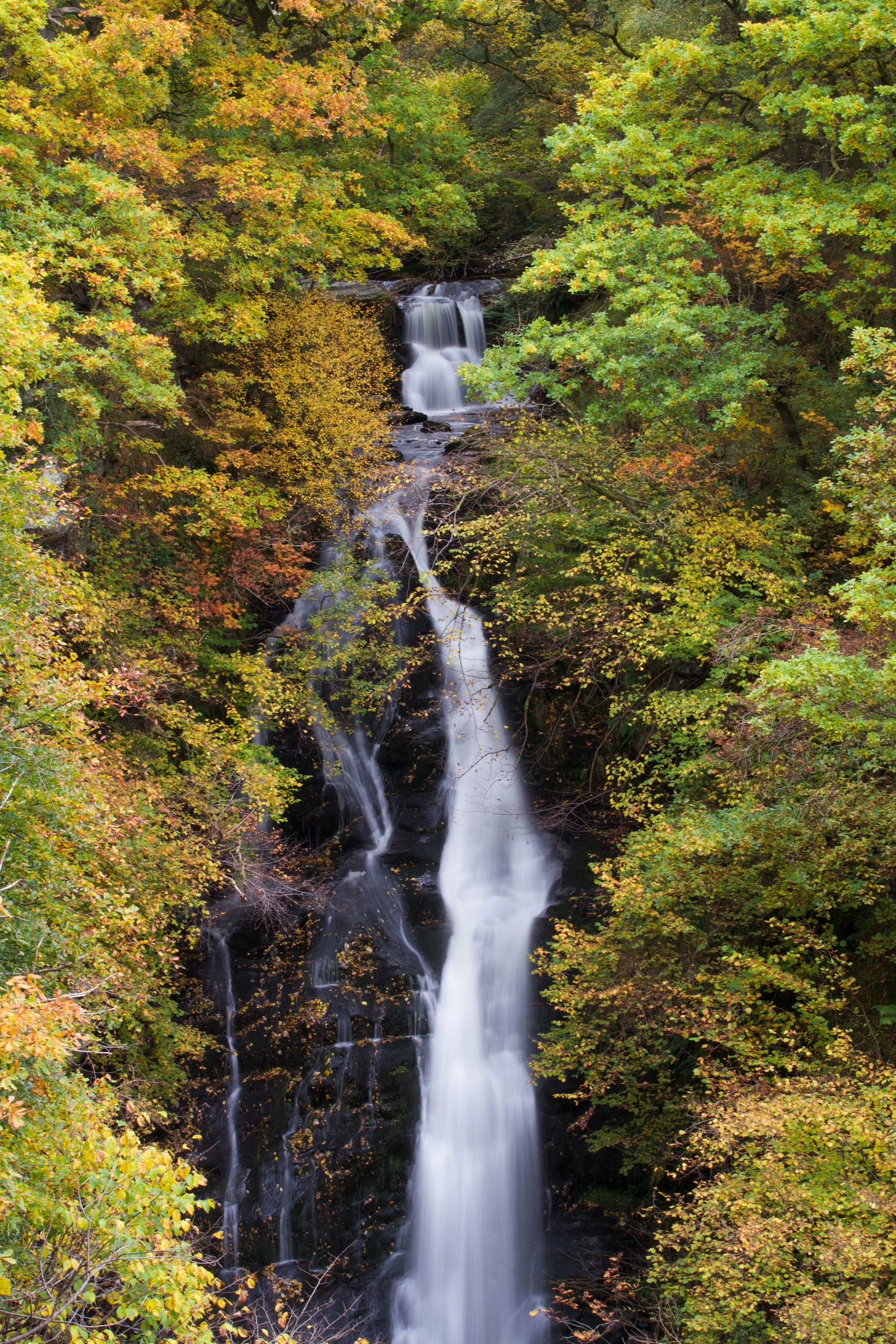 In the Mood for Colour 