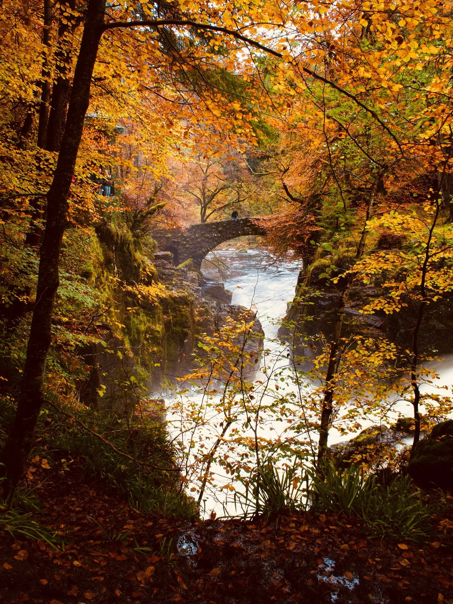 Our October newsletter went out today. We might have gone full tilt autumn 🍂 

#theperthshiremagazine #scotland #autmn