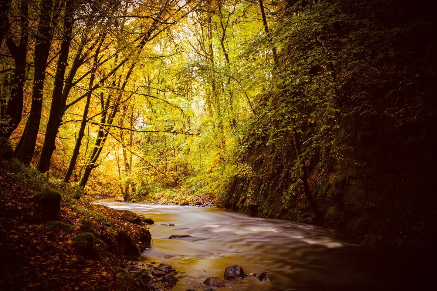 Den O Alyth. 

#theperthshiremagazine #perthshire #scotland #autumnvibes