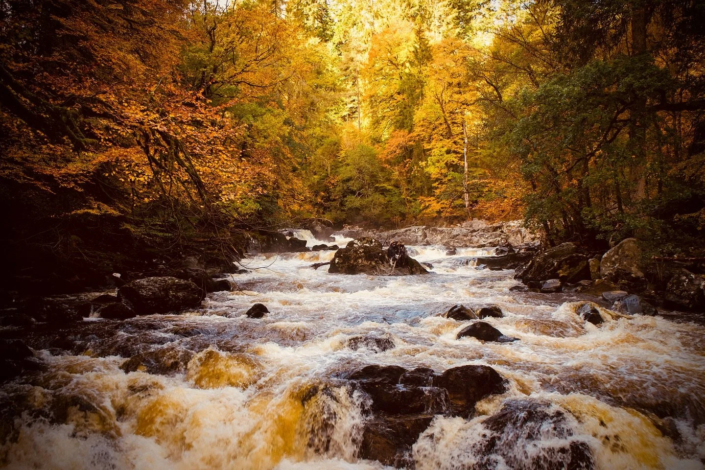 The Black Linn falls, Funkeld. 

#scotland #theperthshiremagazine #perthshire