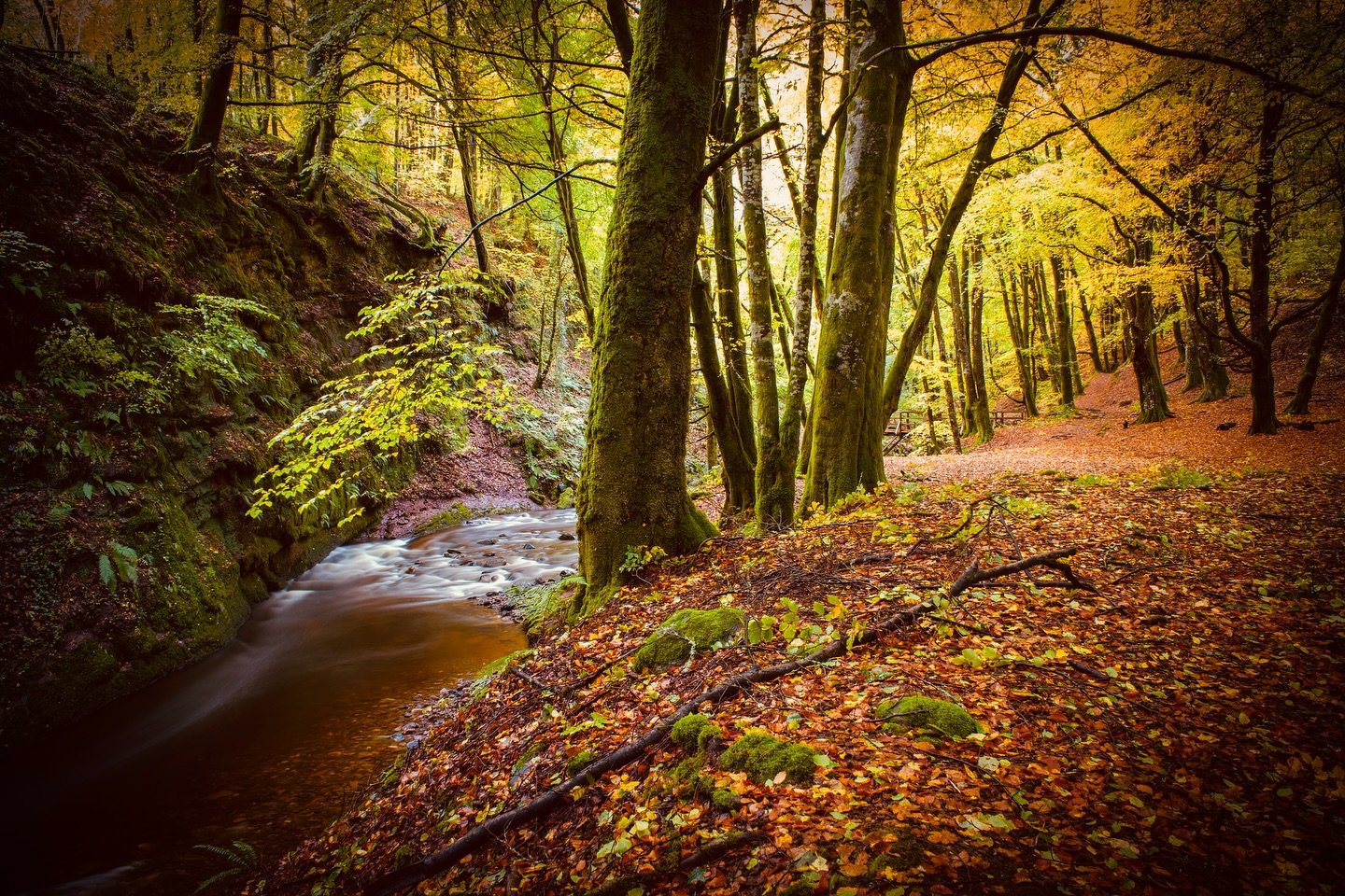 We think Perthshire does autumn rather well! 

#perthshire #autumn #theperthshiremagazine #scotland