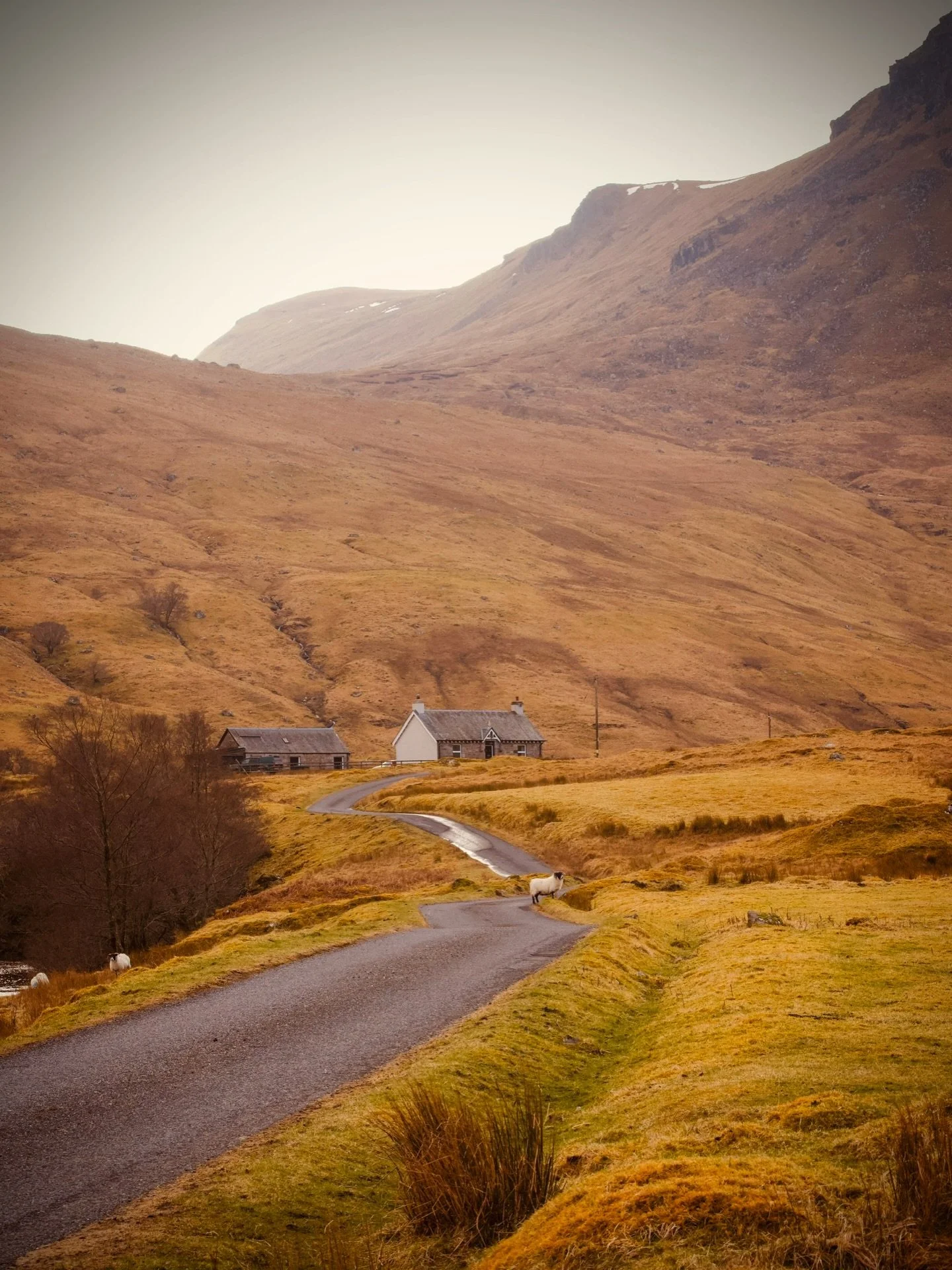 Be honest, could you live here? 

#theperthshiremagazine #scotland #glenlyon