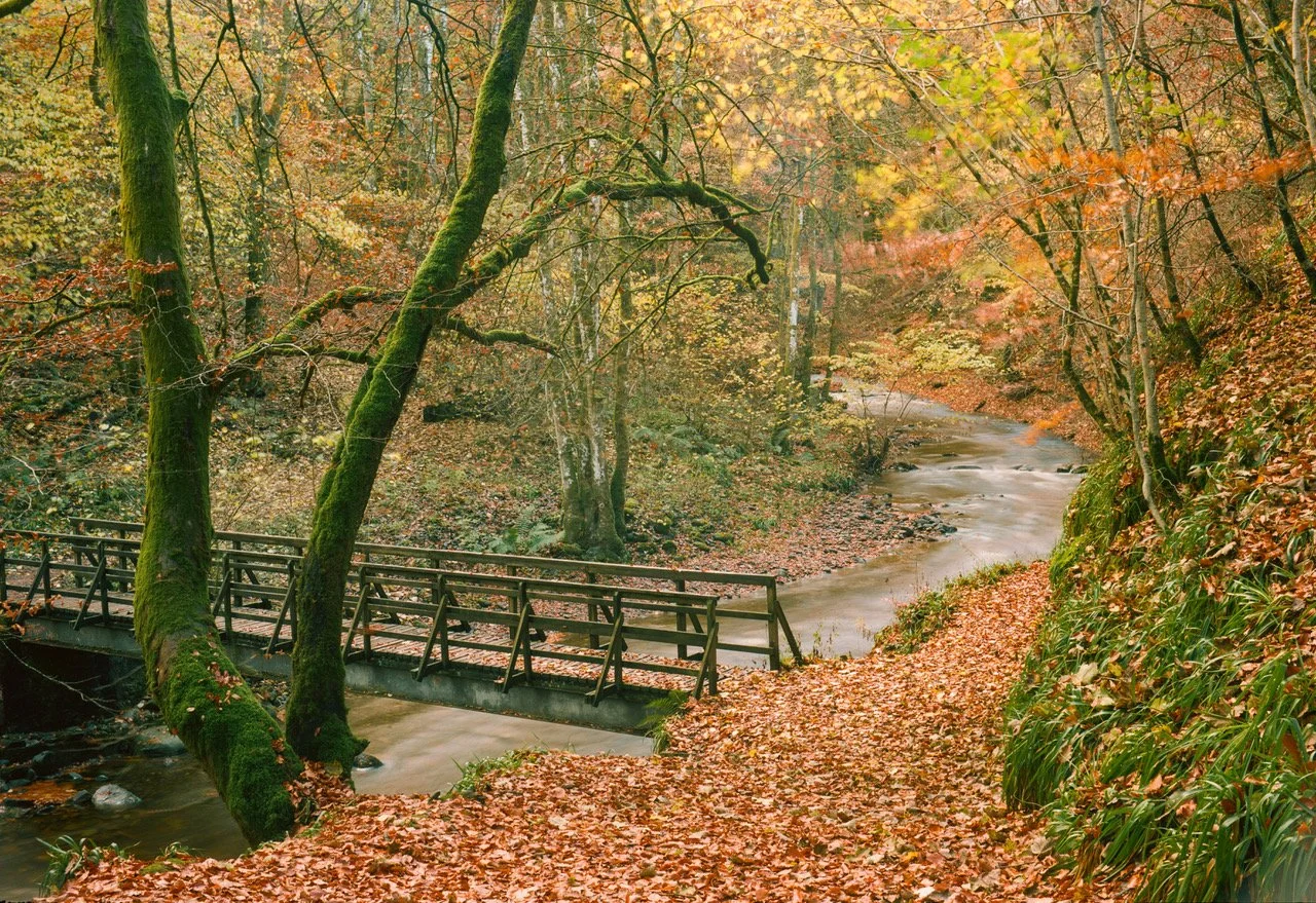 4 Family Activities for February