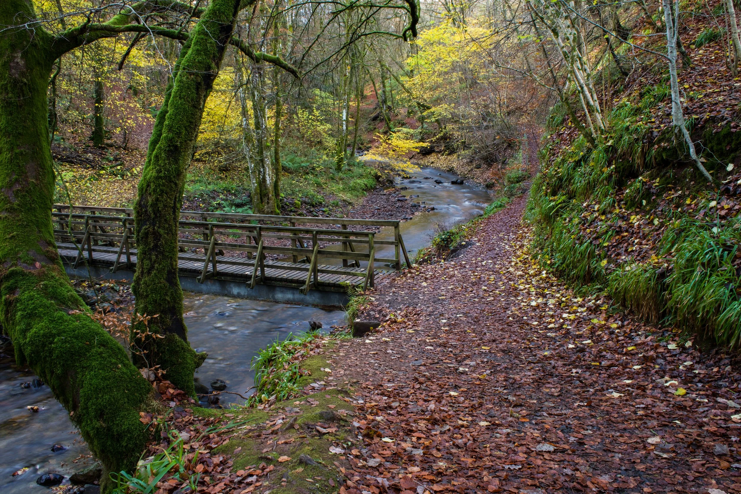 4 Family Activities for February