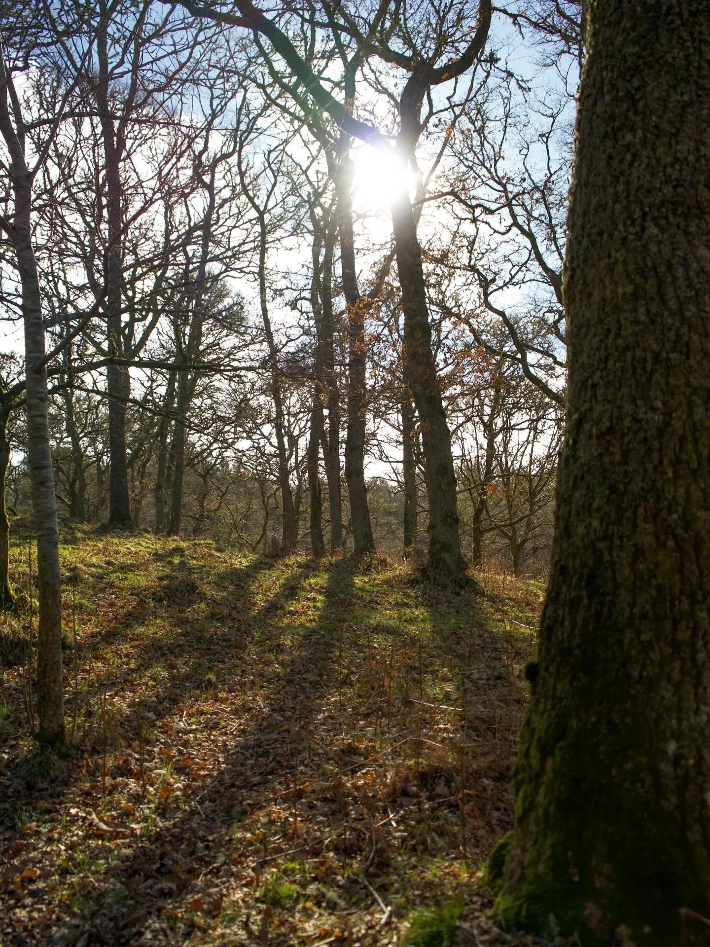 Today definitely felt like spring has properly arrived! 

Slowing down and taking a moment to notice the seasonal changes all around is a great way to reconnect with nature after a wet winter. 

Abi has some suggestions for things you can look out fo