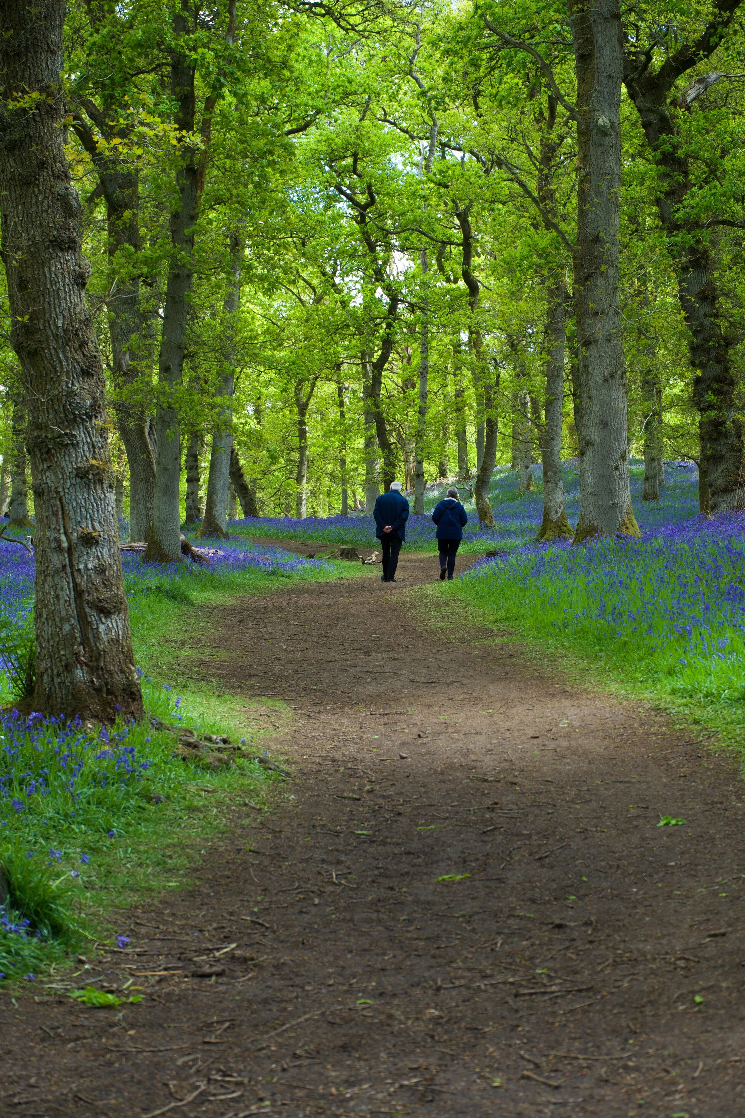 5 of the Best Spring Activities in Perthshire