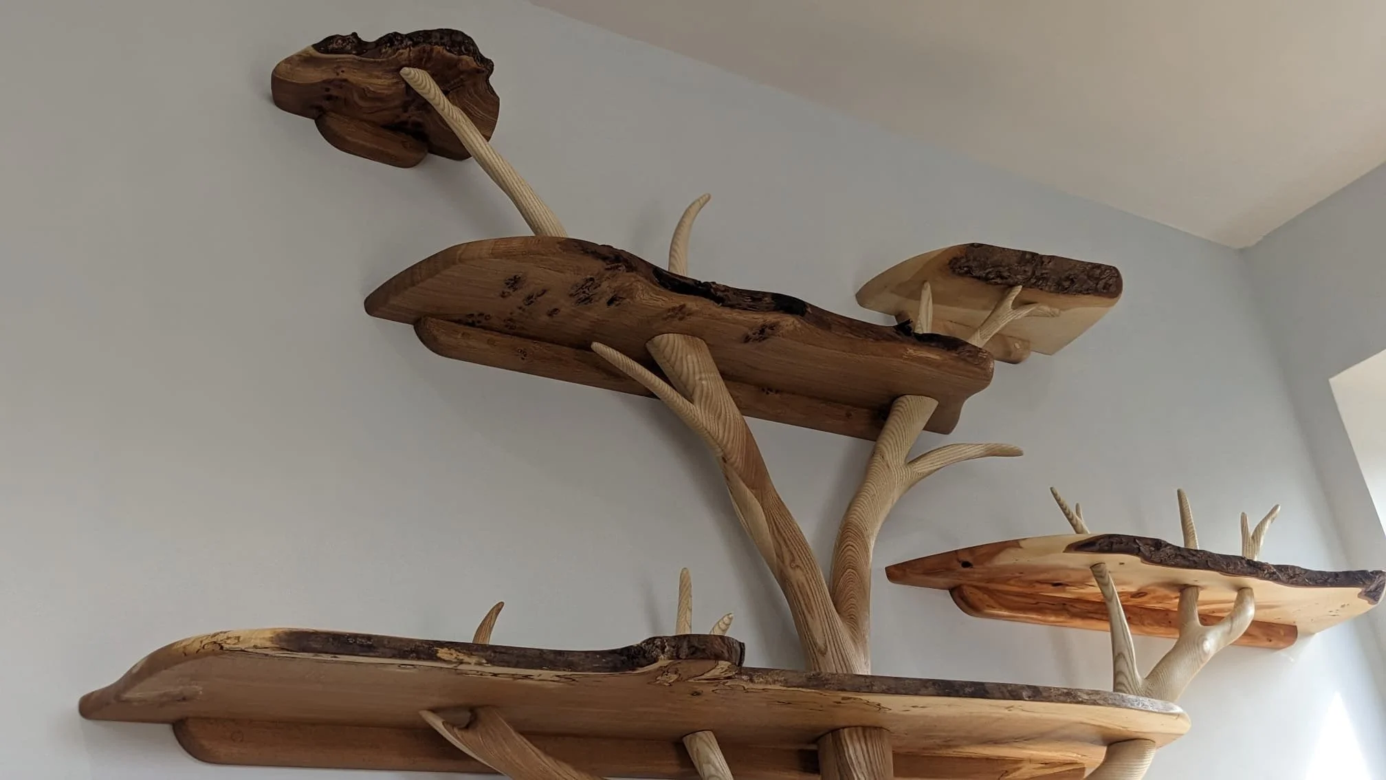 WhatsApp Image 2025-04-23 at 11.20.04 AM - Hannah Blair.jpeg