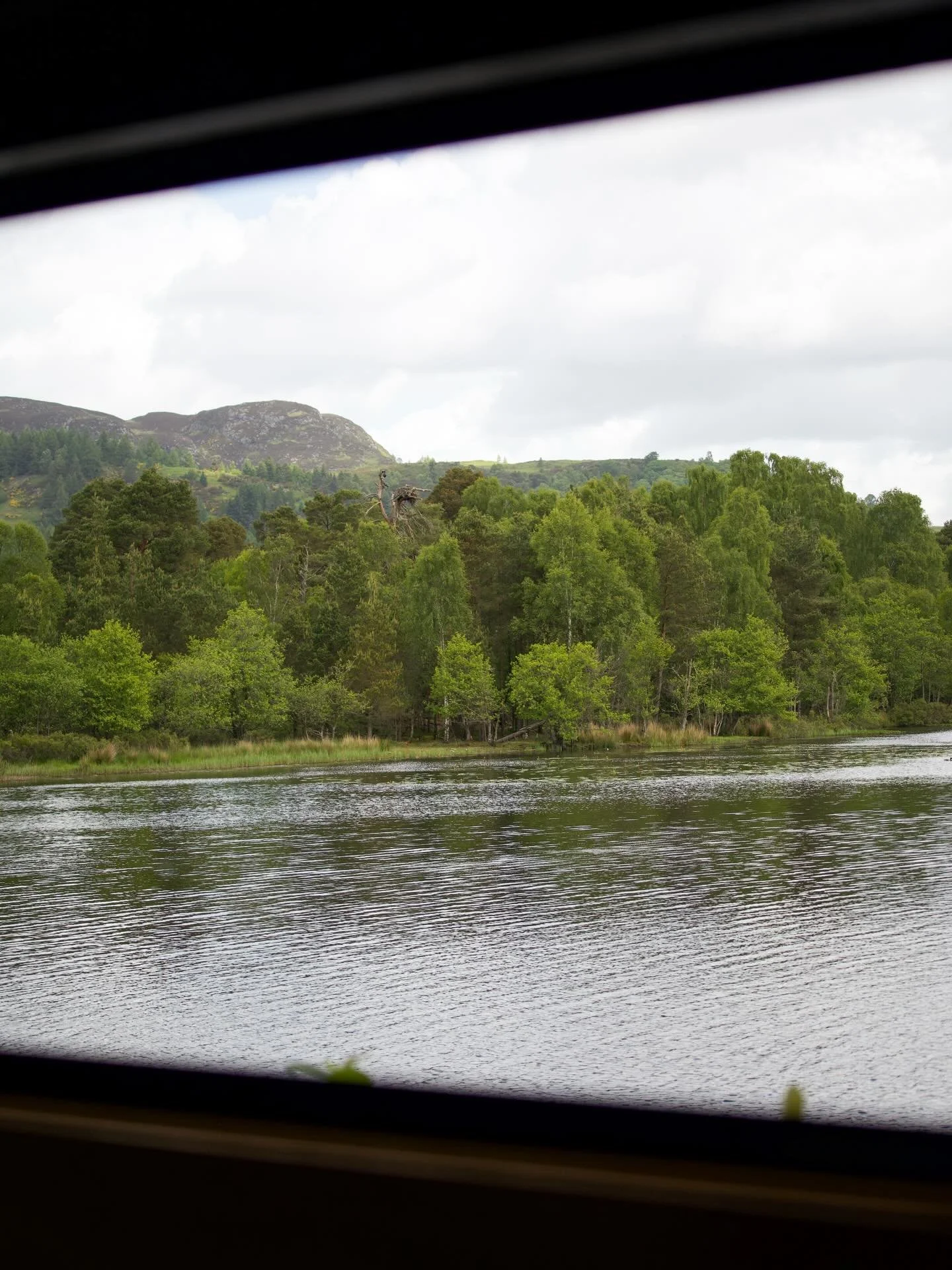 Some things are just perfect for spring, like a visit to see the osprey at Loch of the Lowes!

Check out our article on 5 of the best spring activities in Perthshire for more ideas. 

What would you add to the list? 

#perthshiremagazine #lochofthelo