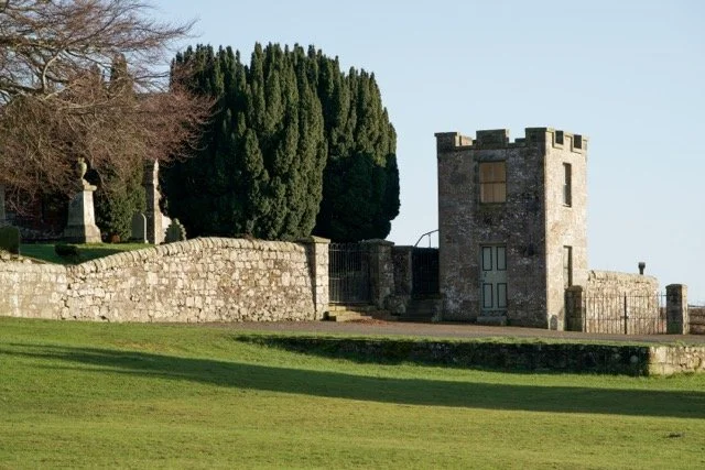 DSC00234 Medium.jpeg