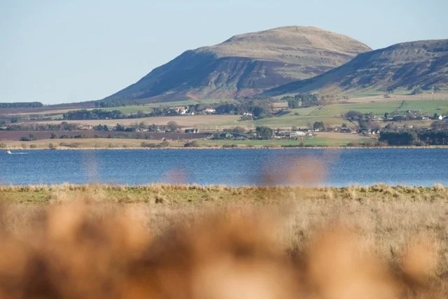 DSC00218 Medium.jpeg