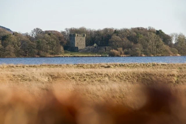 DSC00216 Medium.jpeg