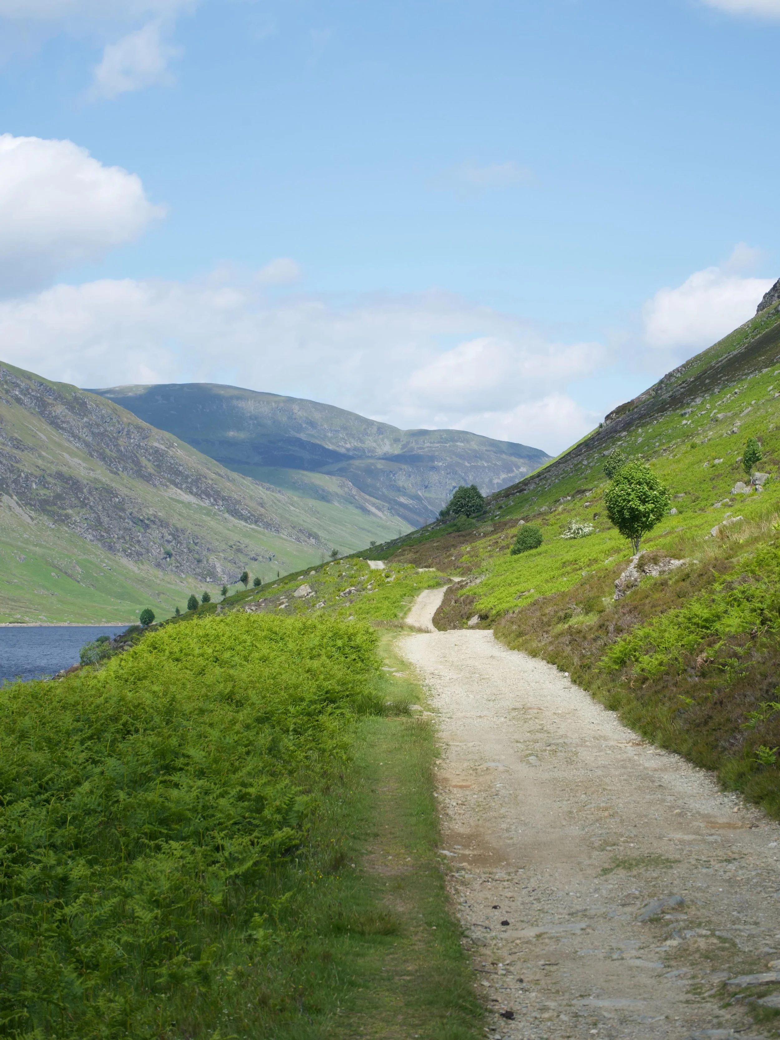 May will be here tomorrow, so our next newsletter will be as well! It&rsquo;s the easiest way to stay updated with all the articles we&rsquo;ve published throughout each month. 

This time we have lots of ideas for National Walking Month, tips on org