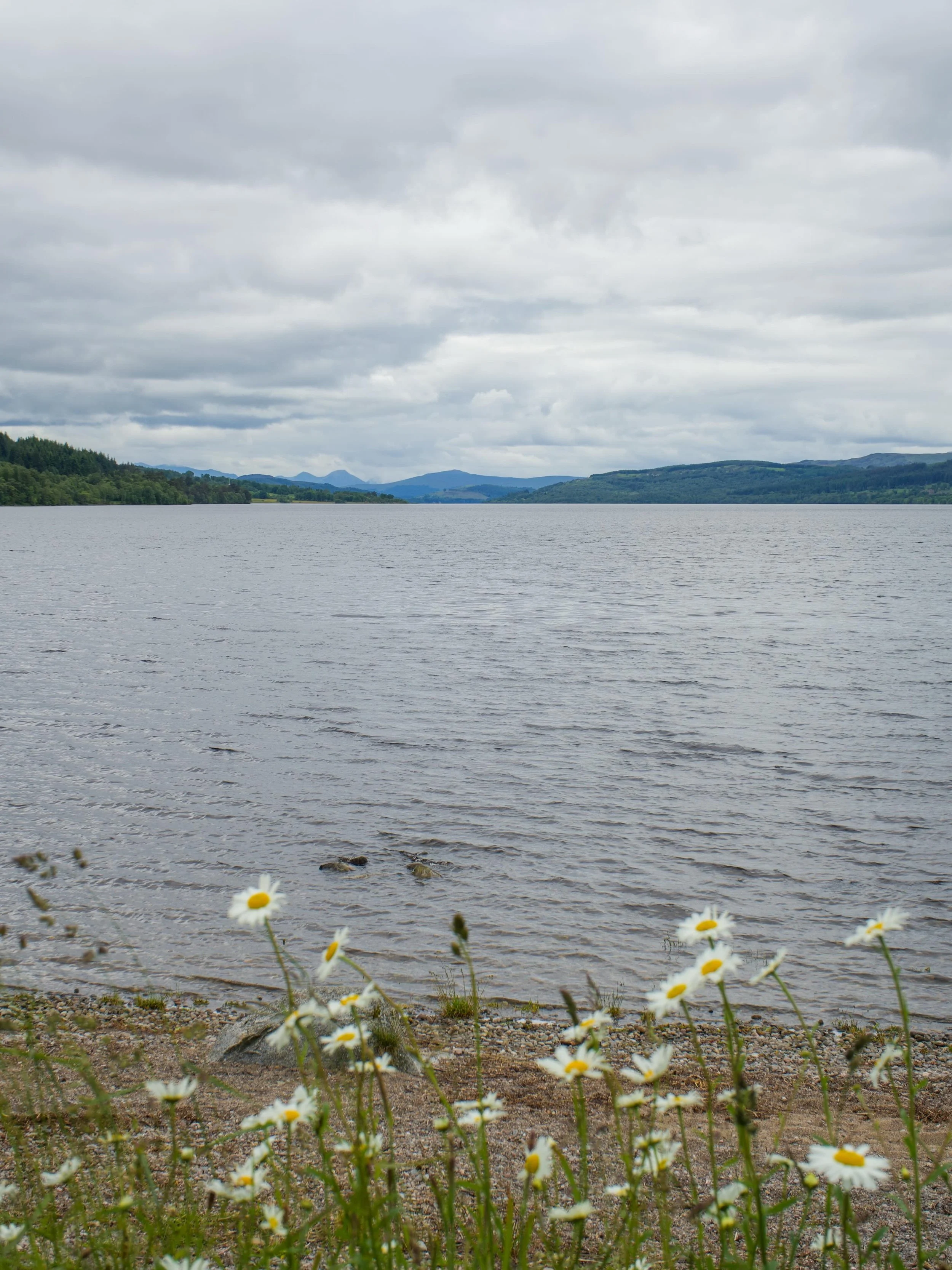 Quick heads up that our next newsletter is out tomorrow! 

As always, we&rsquo;re sharing lots of ideas on places to go and things to do here in Perthshire. 

Don&rsquo;t miss it&hellip;