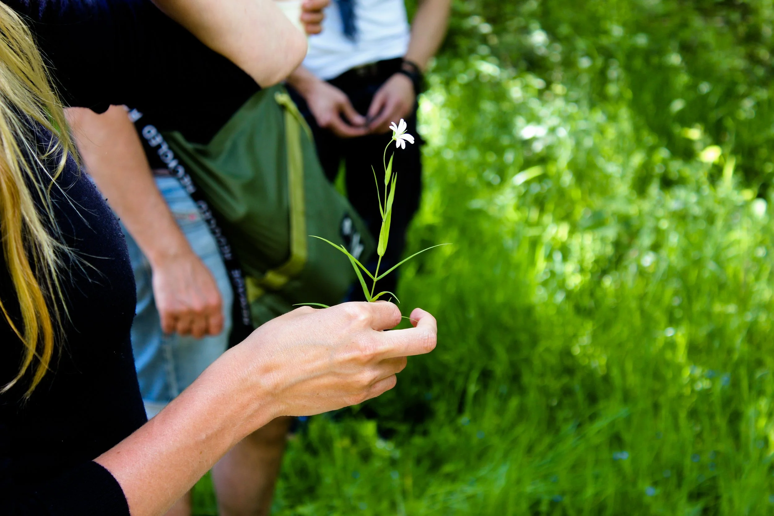 AD | Walk this Way for a Fascinating Autumnal Forage!