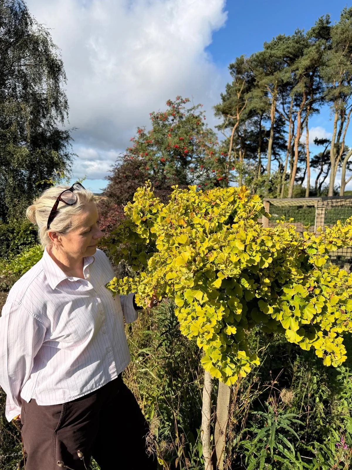 AD | Sensory Garden Materials Will Make for a Very Special Christmas Wreath at Loch Leven’s Larder