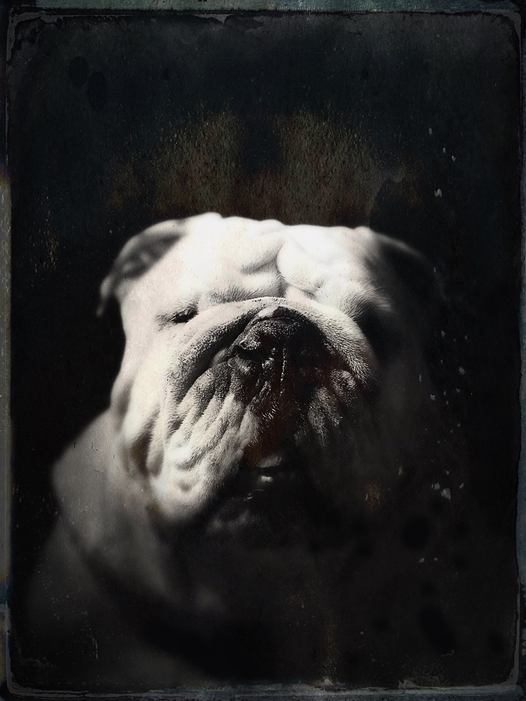 Walter 2b.jpg