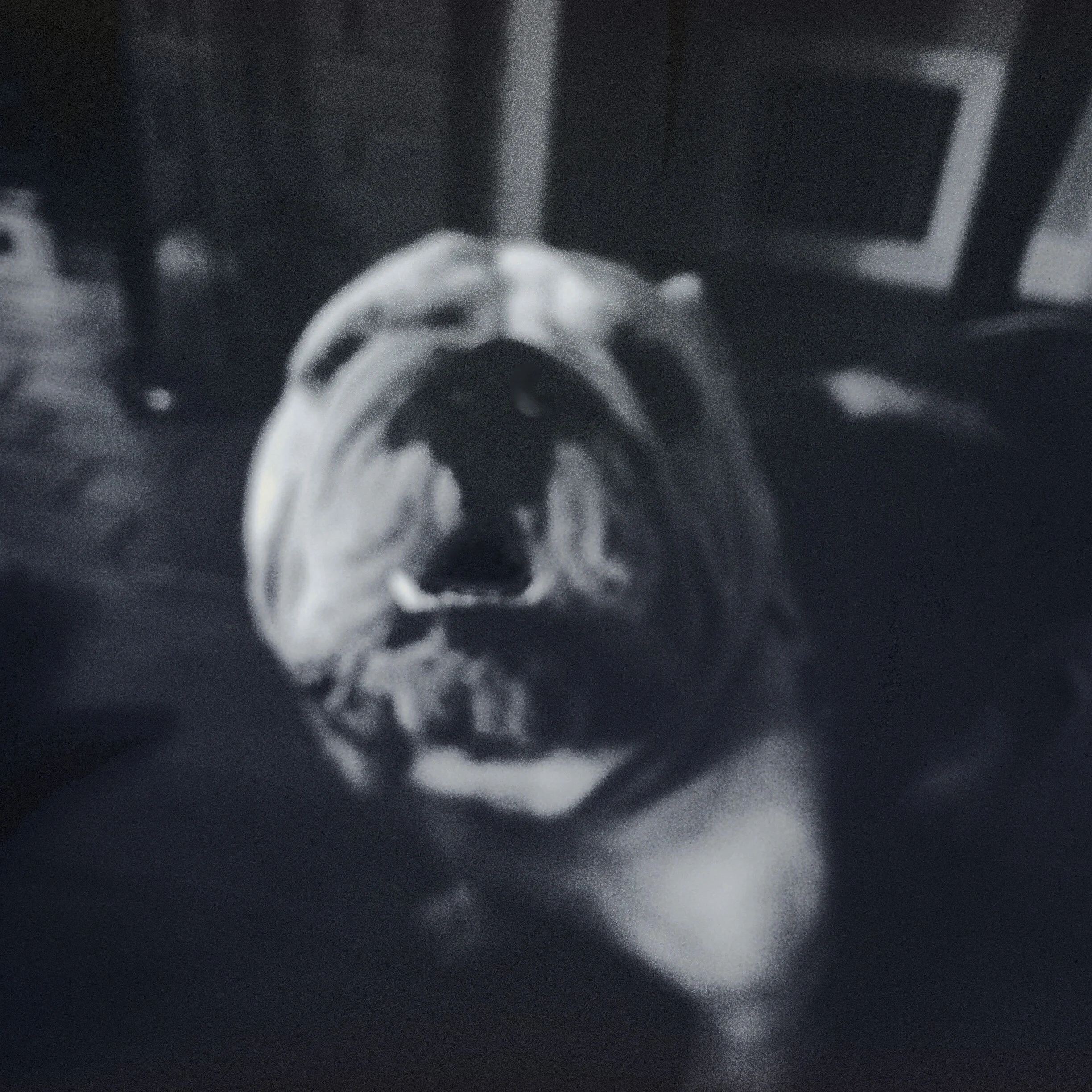 Walter.jpg