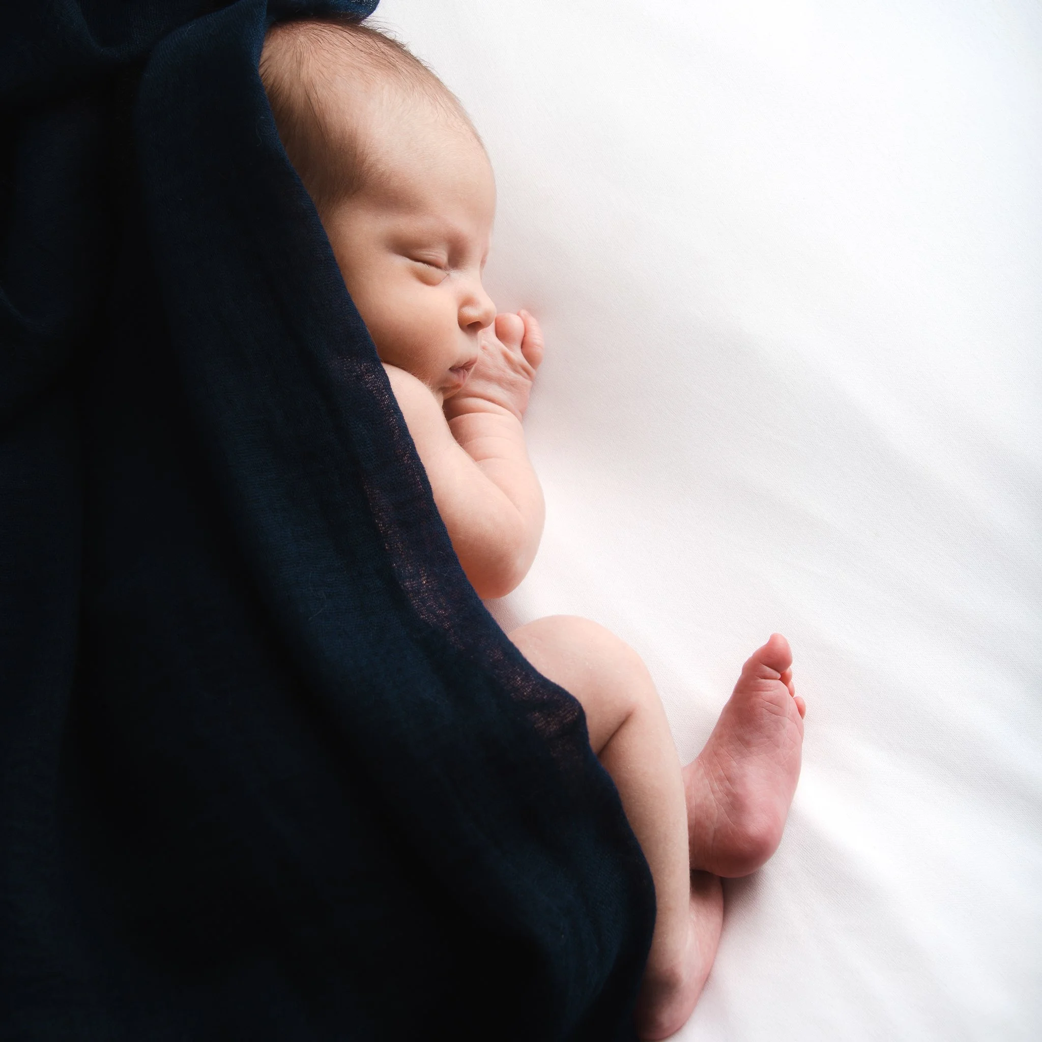 DSC_5268-Edit.jpg