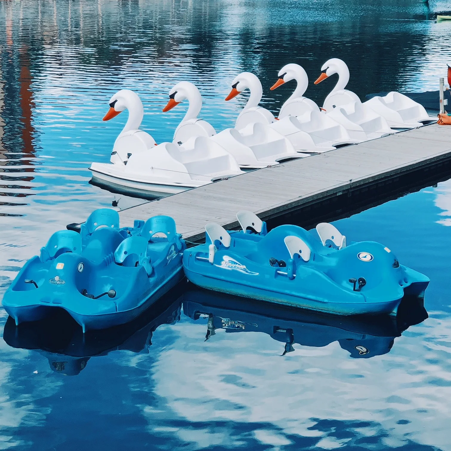 Swan Pedal Boats.jpg