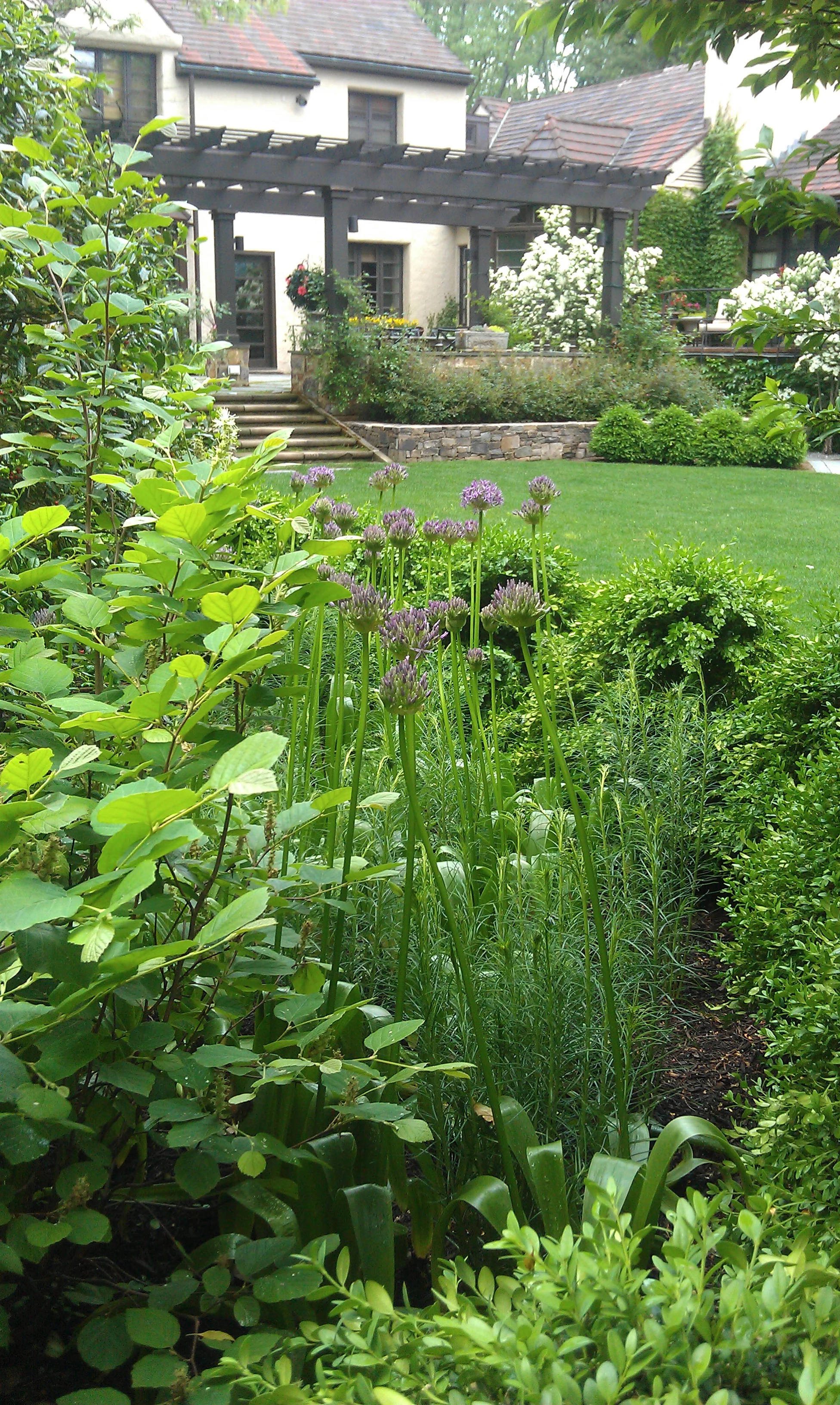 WOODS1 (13).jpg